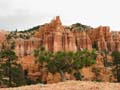 Bryce Canyon - Bonsai